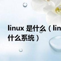 linux 是什么（linux是什么系统）