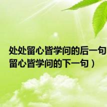 处处留心皆学问的后一句（处处留心皆学问的下一句）