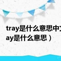 tray是什么意思中文（tray是什么意思）