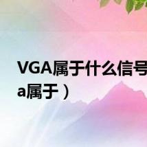 VGA属于什么信号（vga属于）