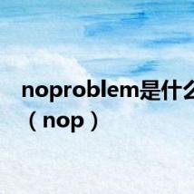 noproblem是什么意思（nop）