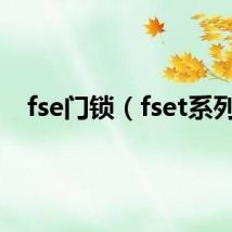 fse门锁（fset系列）