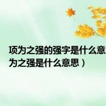 项为之强的强字是什么意思（项为之强是什么意思）