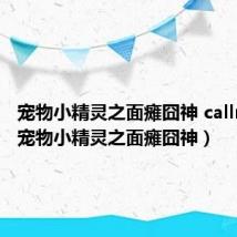 宠物小精灵之面瘫囧神 callme受（宠物小精灵之面瘫囧神）