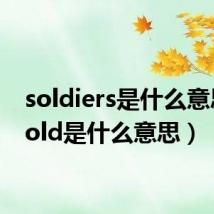 soldiers是什么意思（sold是什么意思）