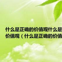 什么是正确的价值观什么是人生的价值观（什么是正确的价值观）