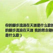 你的脚步流浪在天涯是什么歌的歌词（你的脚步流浪在天涯 我的思念随你到远方是什么歌）