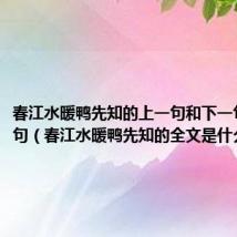 春江水暖鸭先知的上一句和下一句的下一句（春江水暖鸭先知的全文是什么啊）