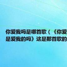 你爱我吗是哪首歌（《你爱我吗你是爱我的吗》这是那首歌的歌词）