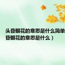 头昏眼花的意思是什么简单版（头昏眼花的意思是什么）