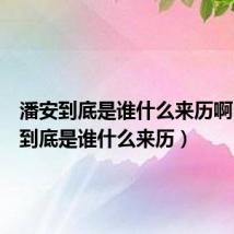 潘安到底是谁什么来历啊（潘安到底是谁什么来历）