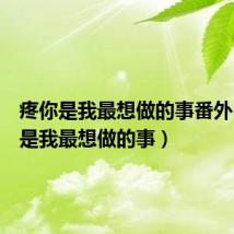 疼你是我最想做的事番外（疼你是我最想做的事）