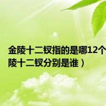 金陵十二钗指的是哪12个人（金陵十二钗分别是谁）