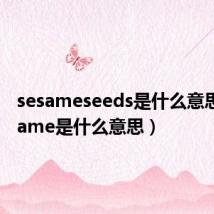 sesameseeds是什么意思（sesame是什么意思）