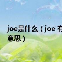 joe是什么（joe 有什么意思）