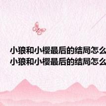 小狼和小樱最后的结局怎么样了（小狼和小樱最后的结局怎么样）