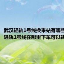 武汉轻轨1号线换乘站有哪些（武汉轻轨1号线在哪里下车可以转233）