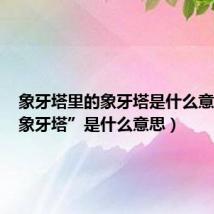 象牙塔里的象牙塔是什么意思（“象牙塔”是什么意思）