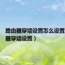 路由器穿墙设置怎么设置（路游器穿墙设置）