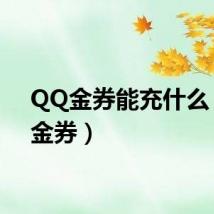 QQ金券能充什么（qq金券）