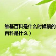 维基百科是什么时候禁的（维基百科是什么）