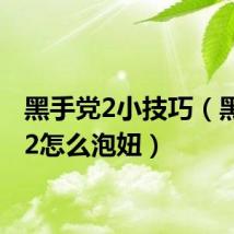 黑手党2小技巧（黑手党2怎么泡妞）