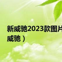 新威驰2023款图片（新威驰）