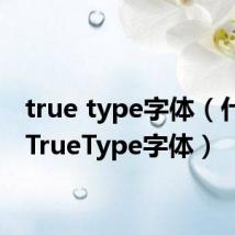 true type字体（什么是TrueType字体）