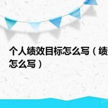 个人绩效目标怎么写（绩效目标怎么写）