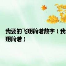 我要的飞翔简谱数字（我要的飞翔简谱）