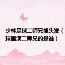 少林足球二师兄掉头发（少林足球里演二师兄的是谁）