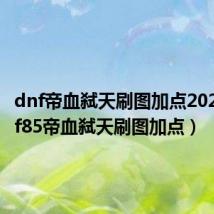 dnf帝血弑天刷图加点2021（dnf85帝血弑天刷图加点）