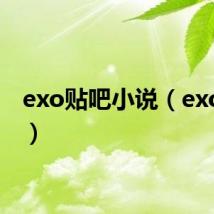 exo贴吧小说（exo贴吧）