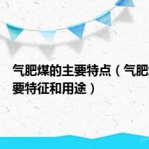 气肥煤的主要特点（气肥煤的主要特征和用途）