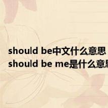 should be中文什么意思（that should be me是什么意思）