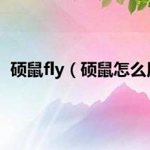 硕鼠fly（硕鼠怎么用）