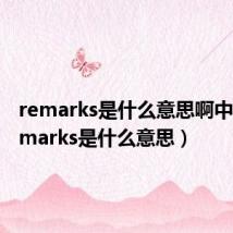 remarks是什么意思啊中文（remarks是什么意思）