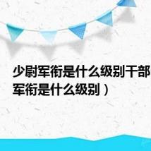 少尉军衔是什么级别干部（少尉军衔是什么级别）