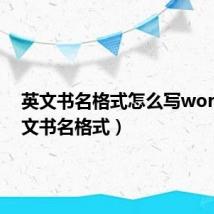 英文书名格式怎么写word（英文书名格式）