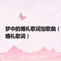 梦中的婚礼歌词加歌曲（梦中的婚礼歌词）