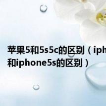 苹果5和5s5c的区别（iphone5c和iphone5s的区别）