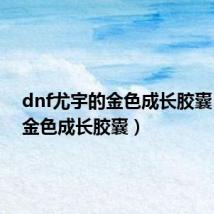 dnf尤宇的金色成长胶囊（dnf金色成长胶囊）