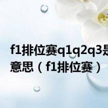 f1排位赛q1q2q3是什么意思（f1排位赛）