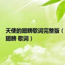 天使的翅膀歌词完整版（天使的翅膀 歌词）