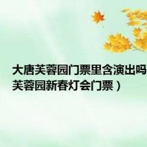 大唐芙蓉园门票里含演出吗（大唐芙蓉园新春灯会门票）