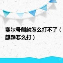 赛尔号麒麟怎么打不了（赛尔号麒麟怎么打）