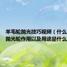 羊毛轮抛光技巧视频（什么是羊毛抛光轮作用以及用途是什么）