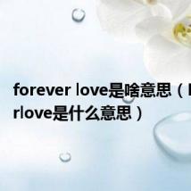 forever love是啥意思（Foreverlove是什么意思）