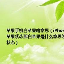 苹果手机白苹果啥意思（iPhone会变白苹果状态那白苹果是什么意思怎样的一个状态）