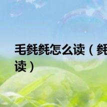 毛毵毵怎么读（毵怎么读）